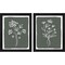 Green Botanical by Elizabeth Tyndall, 2 Piece Black Framed Art Set